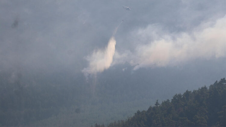 Denizli'deki orman yangını kısmen kontrol altına alındı
