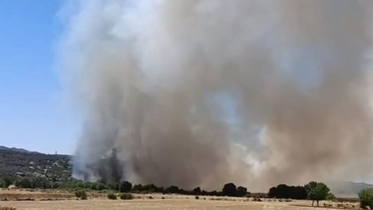 Diyarbakır'da 4 noktada örtü yangını