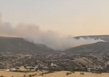 Silvan'da örtü yangını çıktı