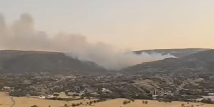 Silvan'da örtü yangını çıktı