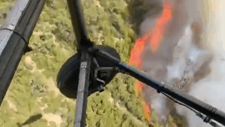 Denizli'nin Pamukkale ilçesinde orman yangını