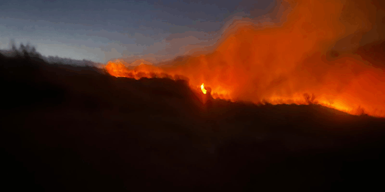 Diyarbakır'da çıkan örtü yangını, 3 saatte söndürüldü