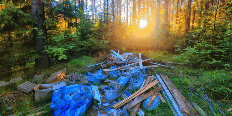 Doğa tahribatından hemen sonrasında neler oluşur?
