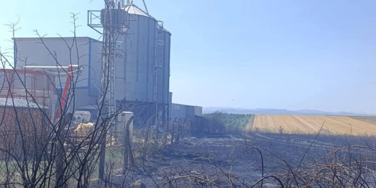 Sarıcaali köyünde çıkan anız yangını söndürüldü
