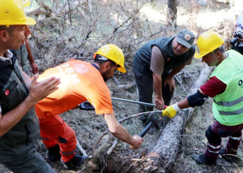 Orman yangını riskine karşı sahalarda bakım çalışması