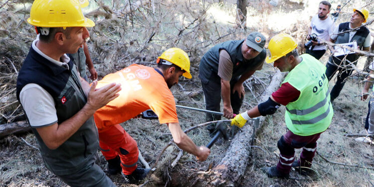 Orman yangını riskine karşı sahalarda bakım çalışması