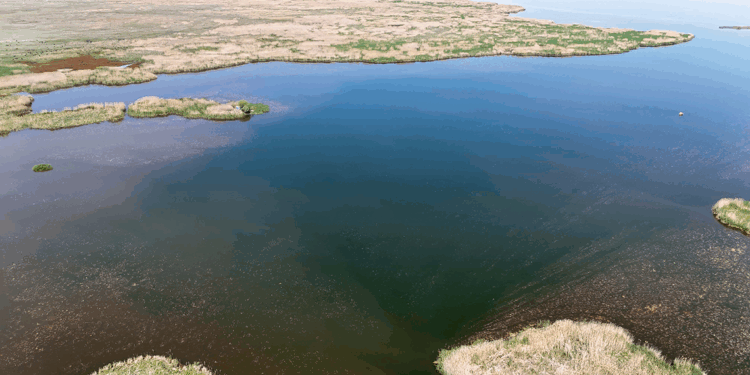 Eber Gölü 3 yıl içinde tamamen kuruyabilir