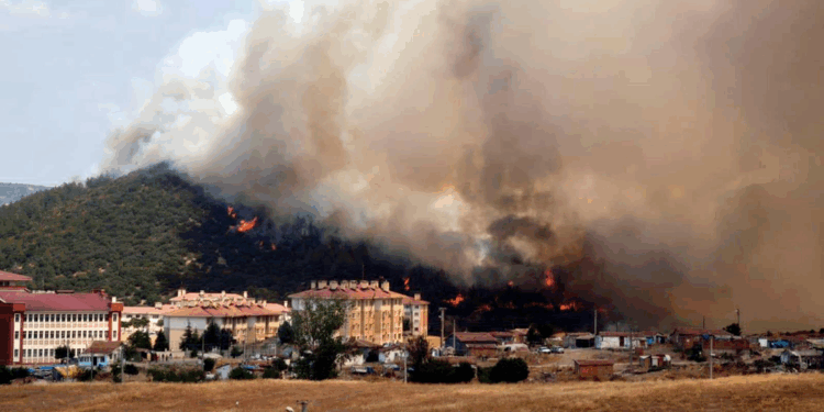 Edirne'de makilikte çıkan yangın tarlaya sıçradı
