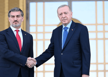 Erdoğan, Gürcistan Cumhurbaşkanı Kavelaşvili'yi resmi törenle karşıladı