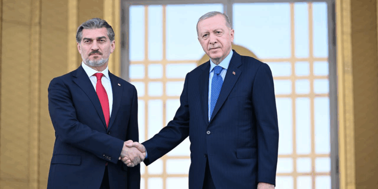 Erdoğan, Gürcistan Cumhurbaşkanı Kavelaşvili'yi resmi törenle karşıladı