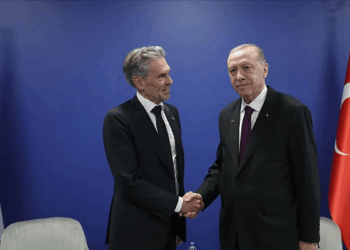 Erdoğan, Hollanda Başbakanı Schoof ile telefonda görüştü