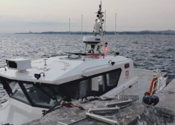 Feribottan denize atlayarak intihar girişiminde bulunan kadını yolcu kurtarıldı