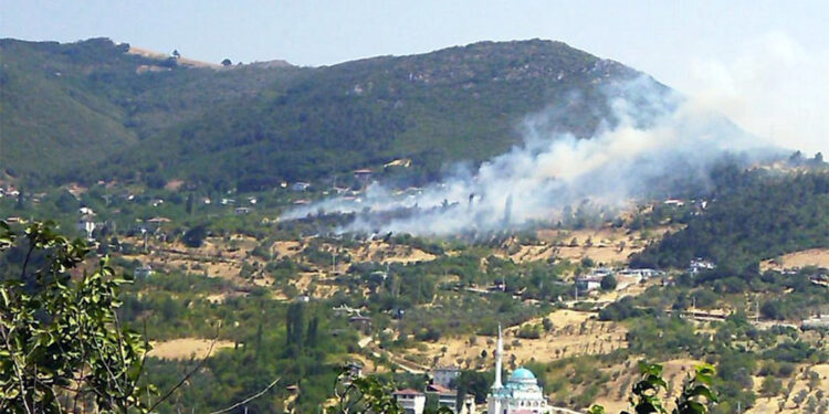 Geyve'de çıkan ot yangını kontrol altına alındı