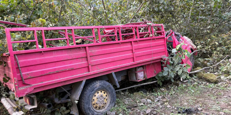 Fındık işçilerini taşıyan kamyonet şarampole yuvarlandı
