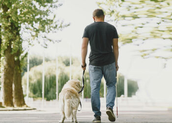 Görme engelli bireyi rehber köpeğiyle kabul etmeyen belediyeye para cezası