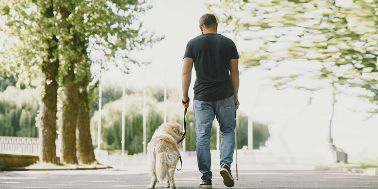 Görme engelli bireyi rehber köpeğiyle kabul etmeyen belediyeye para cezası