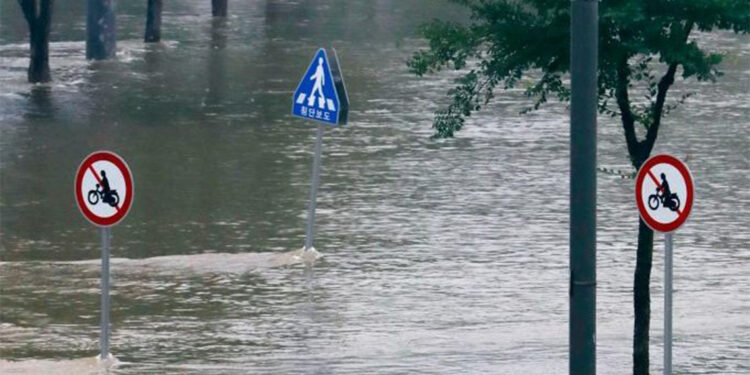 Güney Kore'de şiddetli yağış; 1 ölü