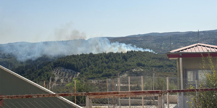 Hatay'ın Yayladağı ilçesinde çıkan orman yangını kontrol altında