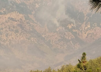 Hatay'da çıkan orman yangını için havadan müdahale başladı