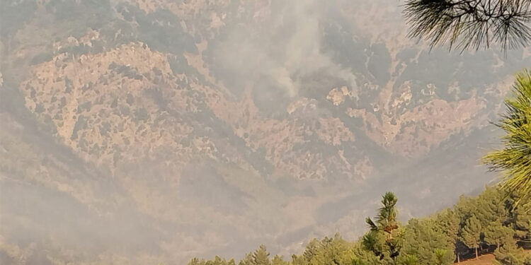 Hatay'da çıkan orman yangını için havadan müdahale başladı