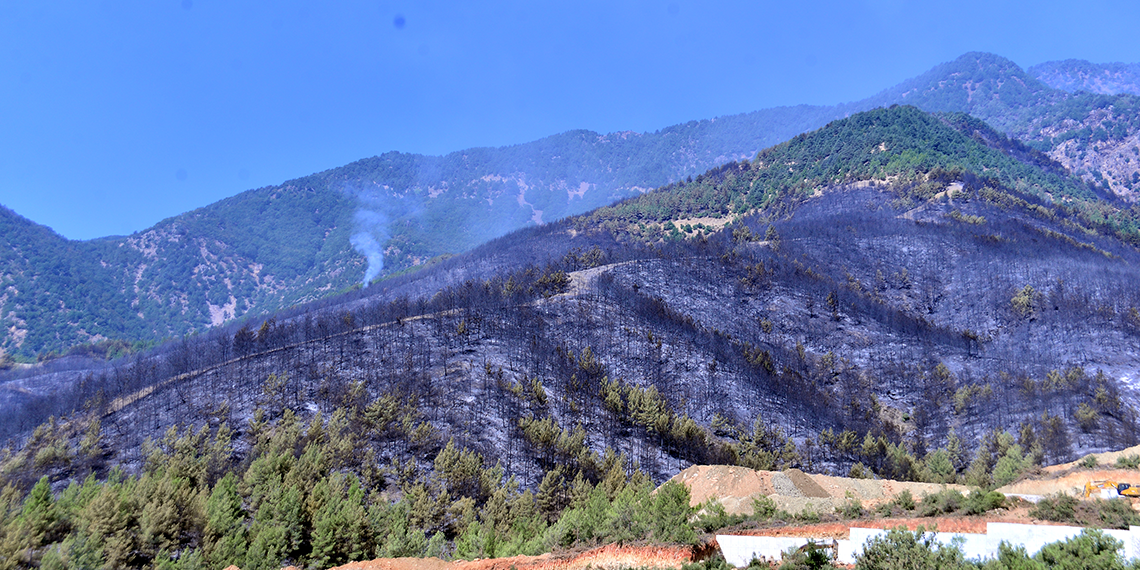 Hatay'da çıkan orman yangını için havadan müdahale başladı