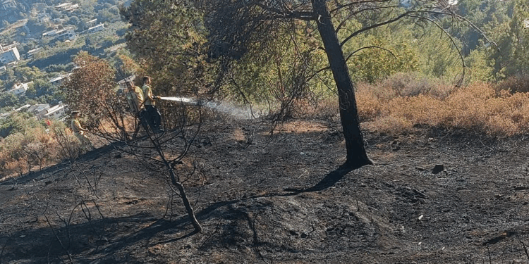 Hatay'da çıkan orman yangını söndürüldü