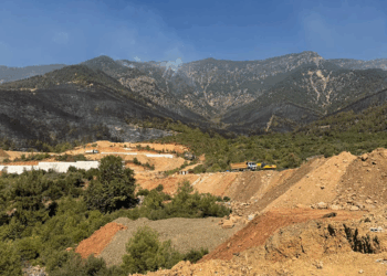 Hatay'da orman yangınlarına müdahale sürüyor