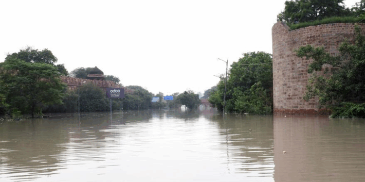 Hindistan'da sel felaketinin bilançosu ağırlaşıyor