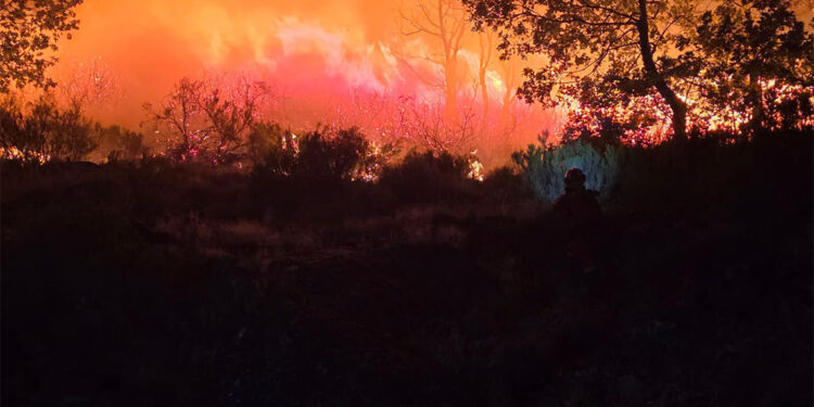 İspanya'da orman yangınları devam ediyor