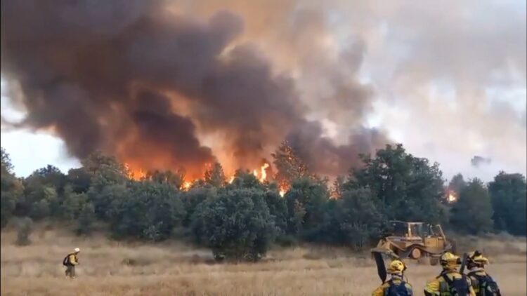 İspanya'daki orman yangınlarında yaşamını yitirenlerin sayısı artıyor