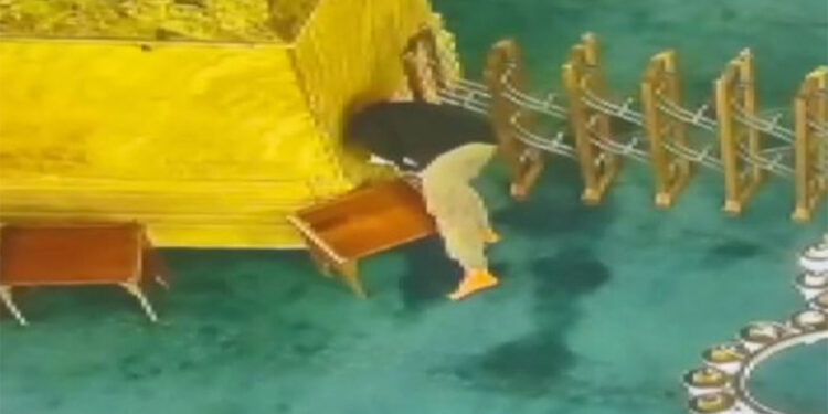 Ayasofya-i Kebir Cami-i Şerifi'nde yaşanan kundaklama girişimi hakkında açıklama