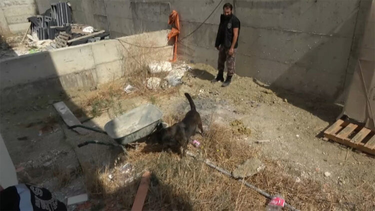 Büyükçekmece'de villa bahçesindeki ceset soruşturması: 3 kişi tutuklandı 