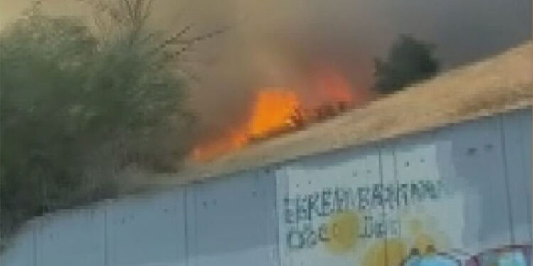 Esenyurt'ta otluk alanda çıkan yangın söndürüldü