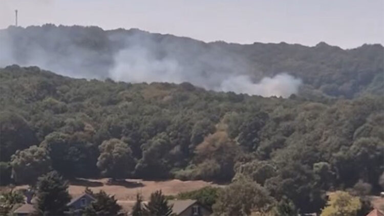 Sarıyer Zekeriyaköy'de orman yangını