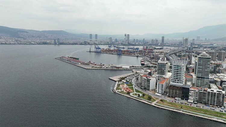 İzmir Körfezi'ni kokutan siyanobakterilermiş