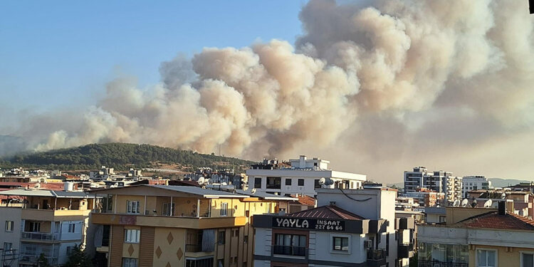 Buca'da minibüste çıkan yangın ormana sıçradı