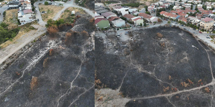 Buca'da ormanlar küle döndü! 3 şüpheli gözaltına alındı