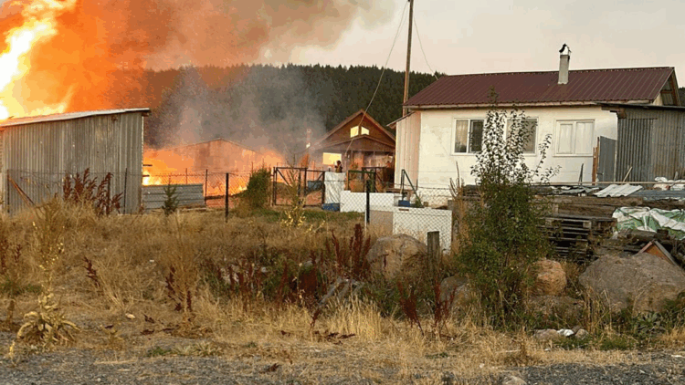 İki yayla evi yangında küle döndü