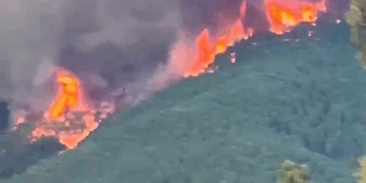 İspanya ve Portekiz orman yangınlarıyla mücadele ediyor