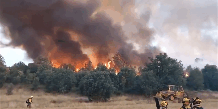 İspanya'daki orman yangınlarında 1 kişi hayatını kaybetti