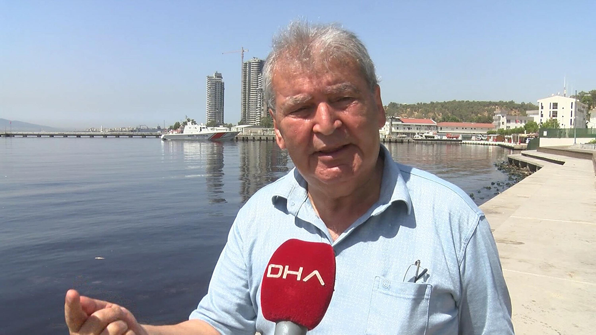 İzmir Körfezi'nde pis koku sürerken, balık ölümleri de başladı