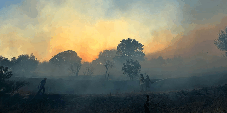İzmir'de ot yangını; bazı evler zarar gördü
