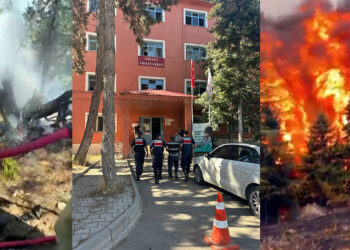 Arıları sakinleştirmek isterken 80 hektar ormanı yaktı