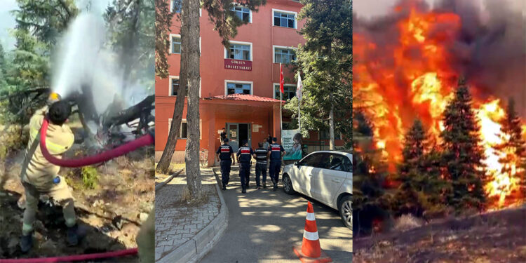 Arıları sakinleştirmek isterken 80 hektar ormanı yaktı