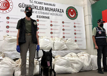 Kapıkule'de 3 TIR'da 179 kilo uyuşturucu ele geçirildi