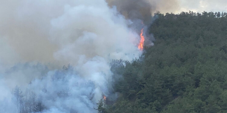 Karabük'ün Arcak köyü yakınlarında orman yangını