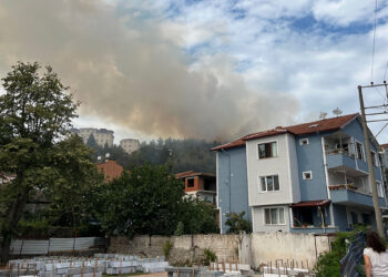 Kocaeli'de orman yangını çıktı