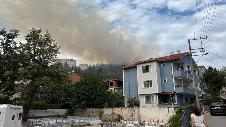 Kocaeli'de orman yangını çıktı