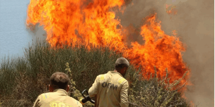 Karabük Üniversitesi'nden orman yangınlarına karşı politika raporu