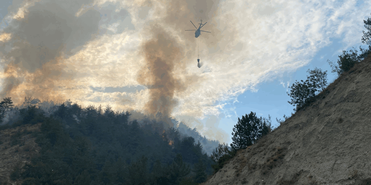 Karabük'te ormanda yangın çıktı